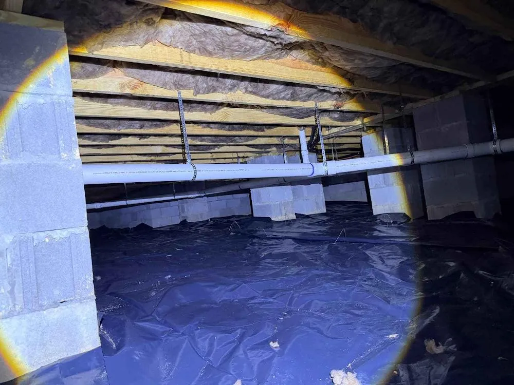 Crawlspace Insulation - Image